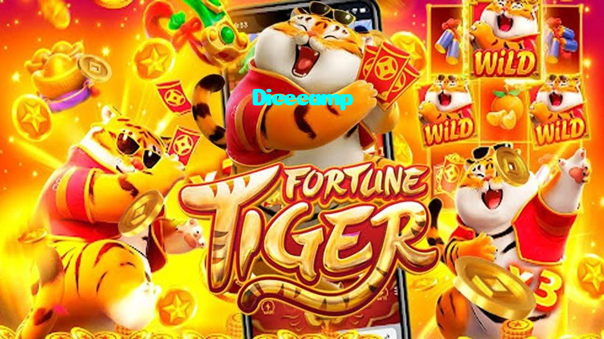 Dicecamp casino presented on mobile device in Pakistan with slots and live games